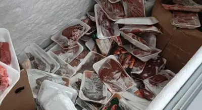 ضبط 10 أطنان مصنعات لحوم ودواجن ودهون حيوانية فاسدة في الجيزة