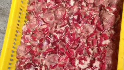 ضبط طن و100 كجم دواجن فاسدة في بورسعيد قبل تسللها للأسواق