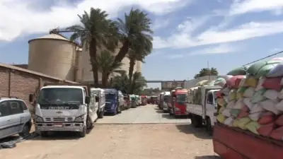 محافظة سوهاج تحقق إنجازًا بتوريد أكثر من 100 ألف طن قمح