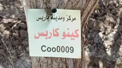 الوادي الجديد تبدأ ترقيم أشجار مبادرة الـ100 مليون شجرة بواحة باريس