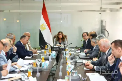 تطوير كتشنر و100 مليون شجرة أبرز مشروعات موازنة التنمية المحلية الجديدة