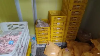 إعدام 11 طناً من الأغذية الفاسدة وغلق منشآت مخالفة بالإسكندرية