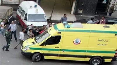 مصرع عامل وإصابة 11 في انقلاب سيارة ربع نقل بإدفو بأسوان