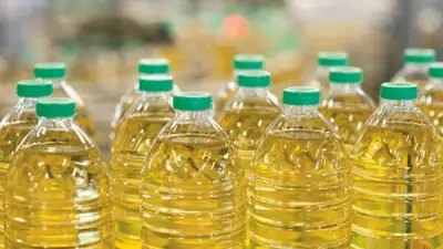 انخفاض أسعار الزيت اليوم 12 مايو 2026: العباد والذرة تتراجع بقيمة تصل إلى 5 جنيهات