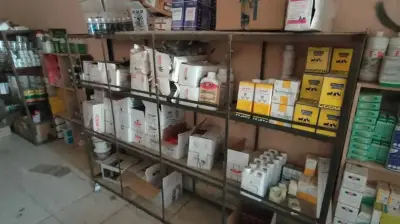 ضبط 120 عبوة أدوية بيطرية منتهية الصلاحية بالغربية