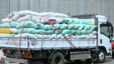 البحيرة: توريد 13 ألف طن قمح يومياً و100 ألف طن منذ بداية الموسم