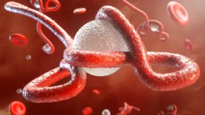 الكونغو تعلن وفاة 131 شخصاً بإيبولا والصحة العالمية تعلن طوارئ دولية