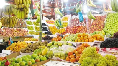 أسعار الفاكهة اليوم الخميس 14 مايو 2026 في سوق العبور.. تباين واضح