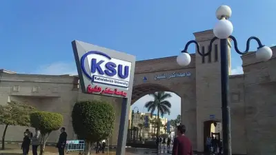 جامعة كفر الشيخ تحصد مراكز متقدمة في مهرجان إبداع 14
