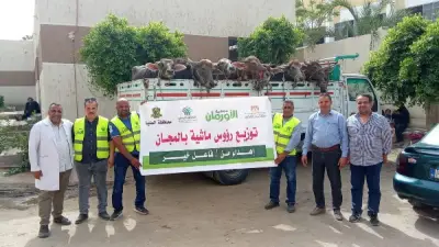 الأورمان توزع 14 رأس ماشية على الأسر الأولى بالرعاية بسمالوط في المنيا