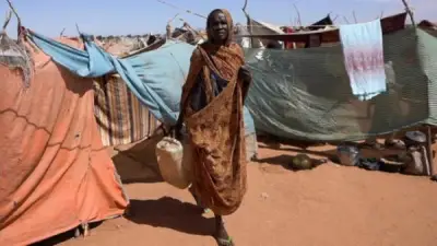 مقتل 14 شخصاً بغارة مسيرة للدعم السريع على بلدة حدودية سودانية