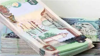 استقرار سعر الدرهم الإماراتي مقابل الجنيه المصري اليوم الجمعة 15 مايو 2026