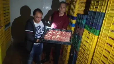ضبط 1.5 طن دواجن فاسدة داخل مجزر غير مرخص بالغربية قبل عيد الأضحى
