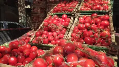 الكيلو بـ 15 جنيهًا.. الطماطم تصالح المصريين بانخفاض جديد ثاني أيام عيد الأضحى