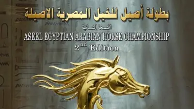 انطلاق النسخة الثانية من بطولة أصيل لجمال الخيول العربية المصرية بمشاركة 151 جوادا