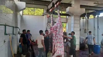 بني سويف تفتح 16 مجزراً لنحر الأضاحي مجاناً خلال عيد الأضحى
