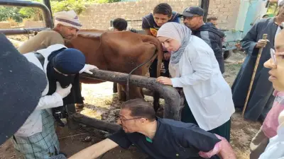 علاج 1862 رأس ماشية في قرى أسيوط عبر قوافل بيطرية مجانية