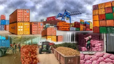 صادرات الصناعات الغذائية إلى المغرب تصل 192 مليون دولار وفرص واعدة جديدة