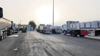 قافلة زاد العزة 199 تحمل 3.6 ألف طن مساعدات إنسانية من مصر إلى غزة