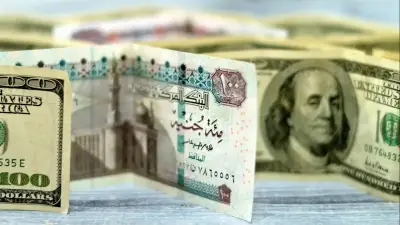 سعر الدولار اليوم في البنوك السبت 2 مايو 2026: استقرار نسبي وأعلى سعر في بنك نكست
