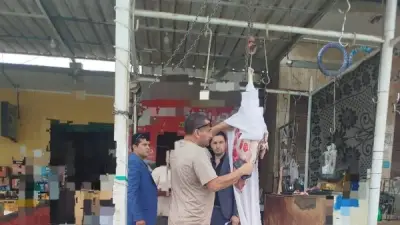 ضبط 2 طن لحوم ودواجن وأسماك غير صالحة في المنوفية