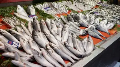 سعر السمك اليوم: ارتفاع الكابوريا 20 جنيهاً وانخفاض البلطي والبوري