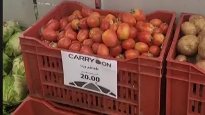 التموين تطرح الطماطم بالمجمعات بـ20 جنيها للكيلو لمواجهة الغلاء