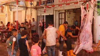 أسعار الأضاحي في الأسواق.. العجول تبدأ بـ200 جنيه للكيلو