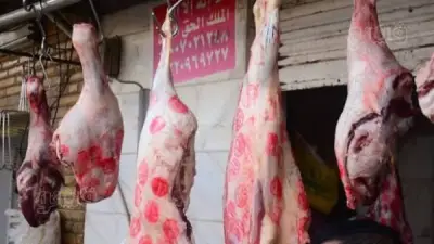 القصابين تكشف أسعار اللحوم قبل عيد الأضحى 2026 وتؤكد توفر الاحتياطي