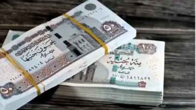 صرف معاشات يونيو 2026 قبل عيد الأضحى.. رابط الاستعلام الفوري