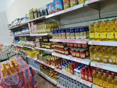 استعدادات الحكومة لعيد الأضحى 2026: إنفوجراف يوضح الإجراءات