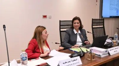 إشادة برلمانية.. النواب يوافق بالإجماع على موازنة القومي للإعاقة 2026/2027