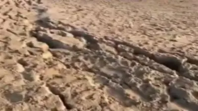 هزة أرضية شرق القاهرة بقوة 2.1 درجة دون خسائر
