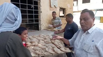 تحرير 22 محضر مخالفات ضد مخابز بلدية وسياحية في الغربية