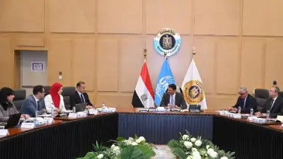23 مشروعًا لليونيدو تدعم التحول الأخضر وتنافسية المصانع المصرية