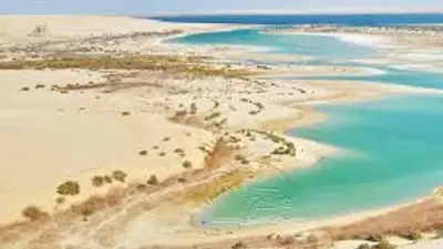 زيادة إيرادات المحميات الطبيعية في مصر بنسبة 2420% في يوم التنوع البيولوجي