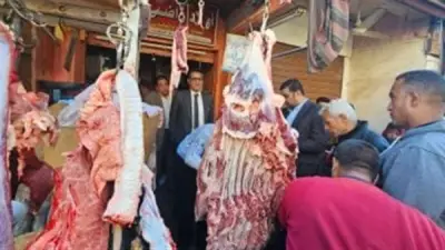 أسعار اللحوم في كفر الشيخ اليوم الإثنين 25 مايو 2026 قبل عيد الأضحى