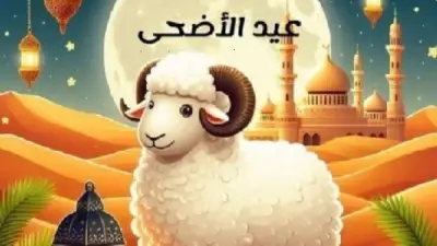 وزارة الزراعة تطرح اللحوم والسلع بتخفيضات تصل إلى 25% قبل عيد الأضحى