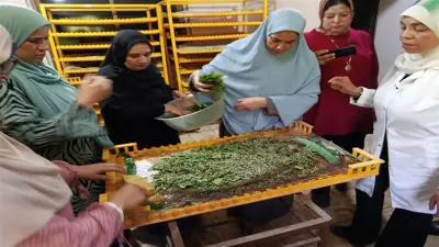 وقاية النباتات يؤهل 25 سيدة معيلة لإدارة مشروعات إنتاج الحرير الطبيعي