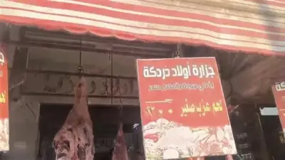 أسعار اللحوم في طوخ تبدأ من 250 جنيها وتصل إلى 300 مع إقبال كبير