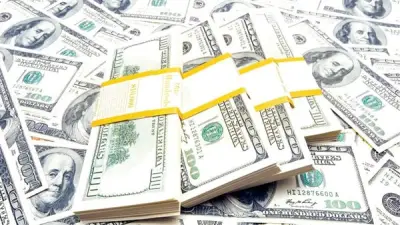 ضبط 26 مليون جنيه نقد أجنبي و10 أطنان دقيق في حملات أمنية