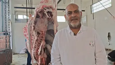 القليوبية ترفع حالة الطوارئ بـ29 مجزرًا في ثاني أيام الأضحى