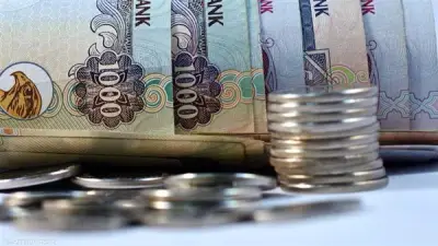 سعر الدرهم الإماراتي أمام الجنيه في البنوك المصرية (تحديث جديد) الأحد 3 مايو 2026
