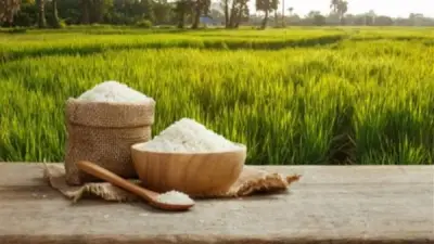استقرار أسعار الأرز في الأسواق المحلية اليوم الأحد 3 مايو 2026