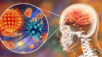 أفضل 3 أطعمة لصحة الدماغ لا تعرفها: التوت والسبانخ والقرع