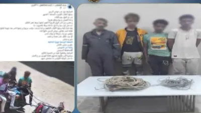 ضبط 3 أشخاص سرقوا أسلاك الكهرباء بعربة كارو بالسويس