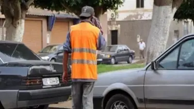 مدة رخصة مهنة السايس 3 سنوات قابلة للتجديد وفقًا للقانون