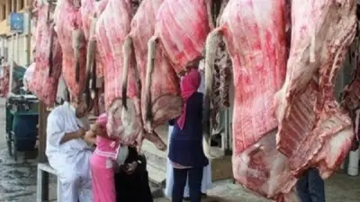 تحذير قانوني: حبس وغرامات تصل لـ30 ألف جنيه لبيع اللحوم الفاسدة في عيد الأضحى