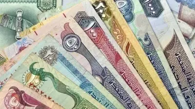 سعر الدرهم الإماراتي اليوم الأحد 31 مايو 2026 مستقر في البنوك المصرية