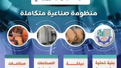 التنمية الصناعية تطرح 31 وحدة إنتاجية بمدينة الجلود بالروبيكي